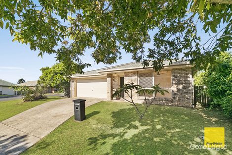 Property photo of 15 Bunya Street Hemmant QLD 4174