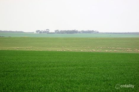 3229 Newdegate-Ravensthorpe Rd, East Newdegate, WA 6355