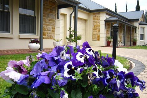 Property photo of 9/32A Scarborough Street Somerton Park SA 5044
