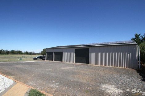 Property photo of 657 Spring Terrace Road Forest Reefs NSW 2798