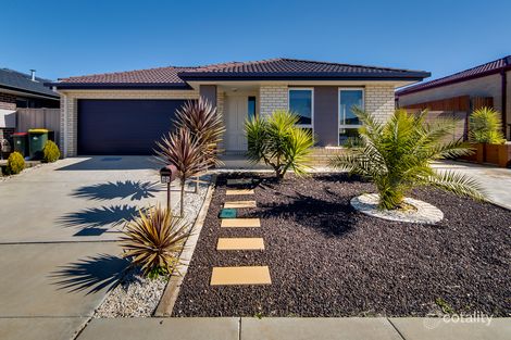 25 Henry Williams St, Bonner, ACT 2914