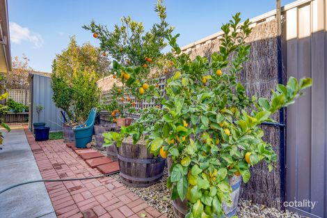 Property photo of 1/11 Vine Street Nagambie VIC 3608