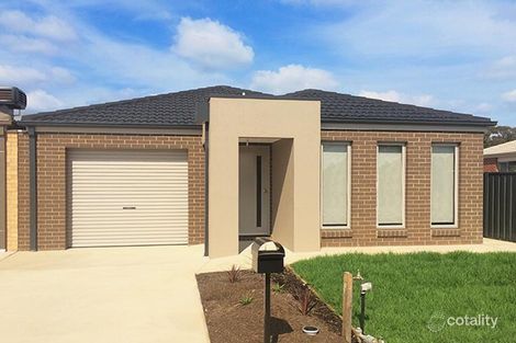 Property photo of 8 Cecil Street North Bendigo VIC 3550
