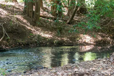 1 Back Creek Rd, Back Creek, NSW 2484