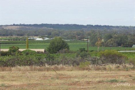 Property photo of 6 Riverview Drive Paringa SA 5340