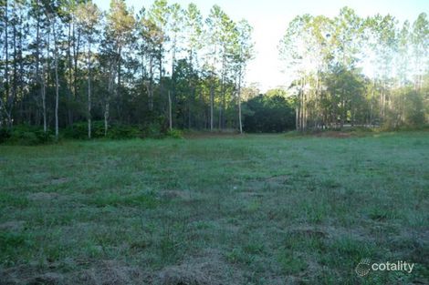 Property photo of 39 Eudlo Flats Road Diddillibah QLD 4559