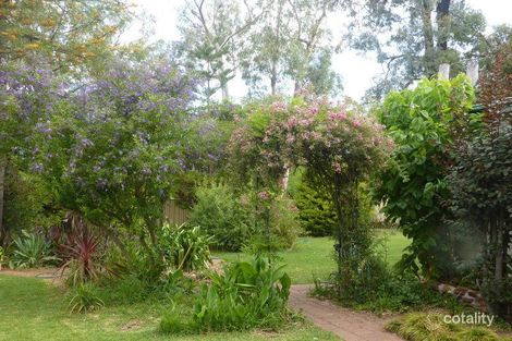 Property photo of 52 Eiraben Street Gilgandra NSW 2827