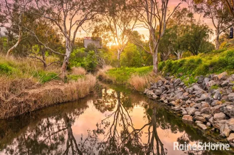 Property photo of 8 Stark Court Willyaroo SA 5255