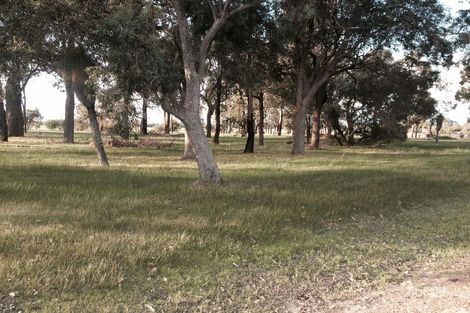 53 Everwood Gld, Ambergate, WA 6280