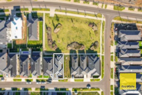 Property photo of 9 Willsher Walk Wyndham Vale VIC 3024