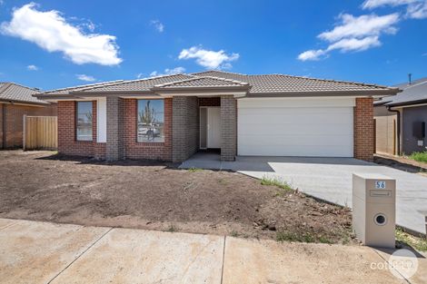 56 Telluride Dr, Winter Valley, VIC 3358