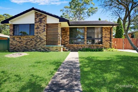 Property photo of 3 Kindlebark Drive Medowie NSW 2318