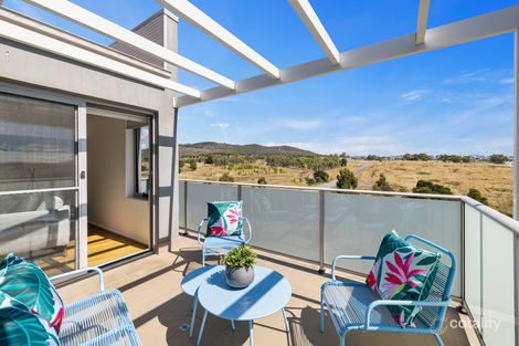 Property photo of 169/41 Philip Hodgins Street Wright ACT 2611