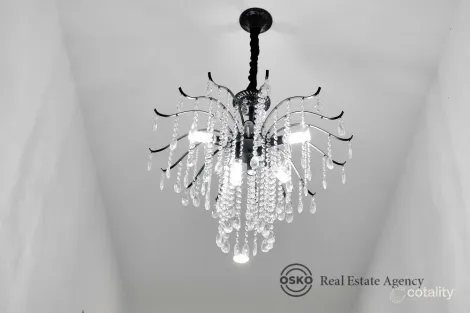 Property photo of 17 Salento Street Mount Duneed VIC 3217