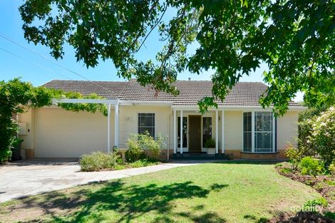 5 Bowden Gr, Oaklands Park, SA 5046