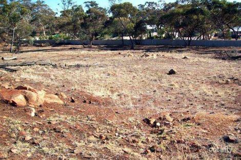 58 Park St, Pingelly, WA 6308