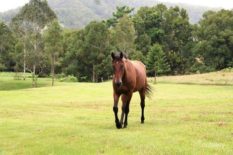 Property photo of 44 Birrigan Close Nobbys Creek NSW 2484