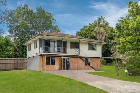 Property photo of 6 Bluegum Court Kingston QLD 4114
