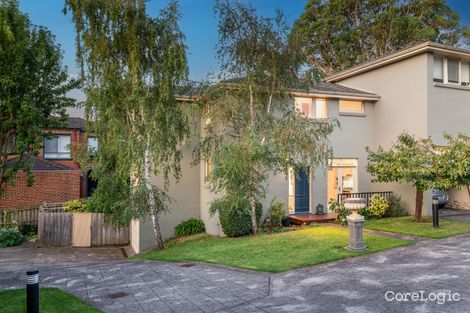 Property photo of 7/43-47 Cecil Street Kew VIC 3101