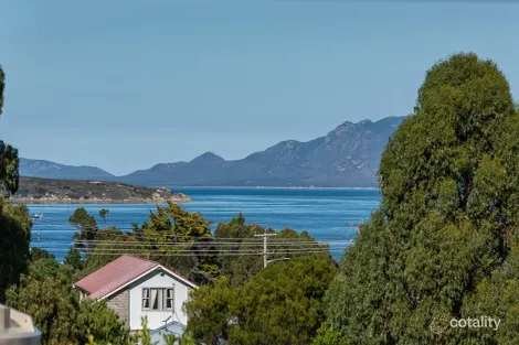 Property photo of 4 Gunter Street Lady Barron TAS 7255