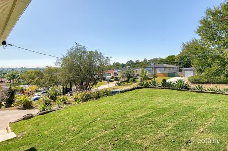 Property photo of 124 Farrant Street Stafford Heights QLD 4053