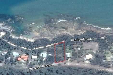 164 Westwood St, Bridport, TAS 7262