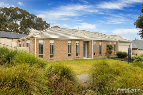 Property photo of 7 Maygar Avenue Wodonga VIC 3690