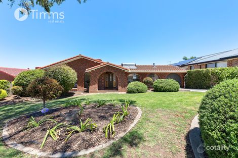 62 Solandra Cres, Modbury North, SA 5092
