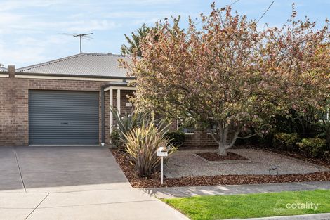7 De Vere Ct, Belmont, VIC 3216