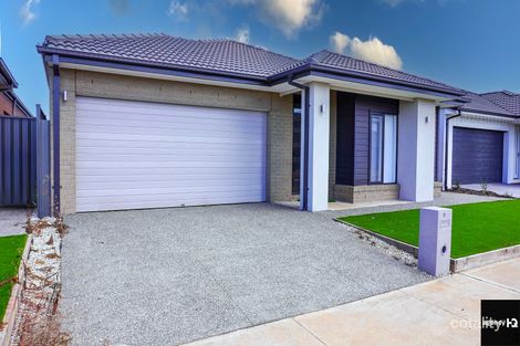 Property photo of 11 Ivory Street Cobblebank VIC 3338