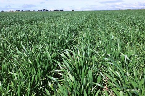 1080 Mclachlan St, Lock, SA 5633