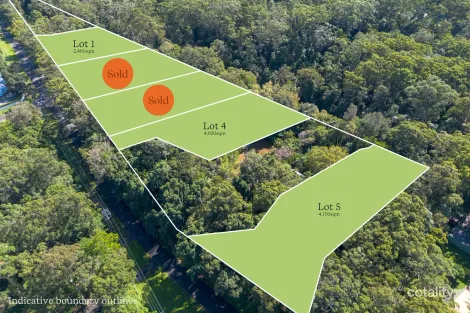 Property photo of 359 Old Bruce Highway Tanawha QLD 4556