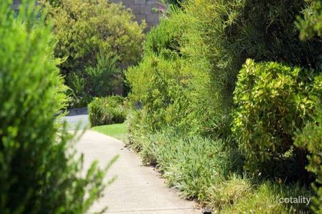 Property photo of 155 Edward Street Melrose Park SA 5039