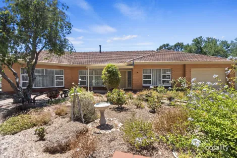 Property photo of 11 Gardiner Terrace Maitland SA 5573