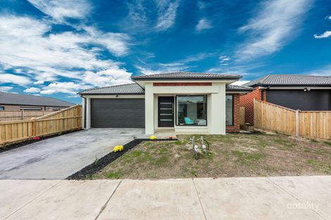 Property photo of 15 Denbigh Loop Mickleham VIC 3064