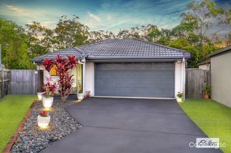 Property photo of 61 Friend Street Wakerley QLD 4154