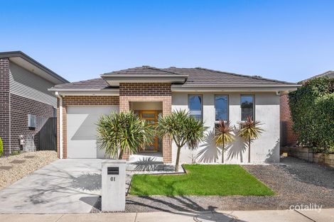 61 John Crawford Cres, Casey, ACT 2913