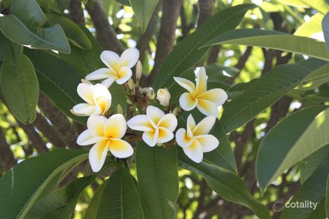 Property photo of 20 Flinders Street Hopetoun WA 6348