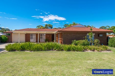 Property photo of 5 Leicester Square Alexander Heights WA 6064