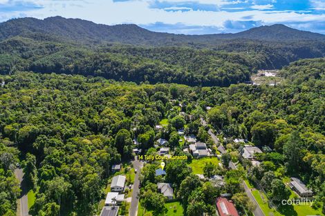 Property photo of 14 Tully Court Kuranda QLD 4881