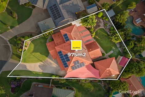 Property photo of 15 Norell Place Eight Mile Plains QLD 4113