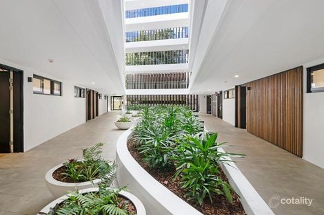 3/7 Birdwood Ave, Lane Cove, NSW 2066