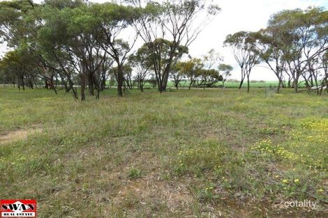 Nelson St, Greenhills, WA 6302