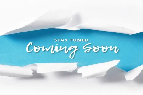 10 Flagship Ct, Castaways Beach, QLD 4567