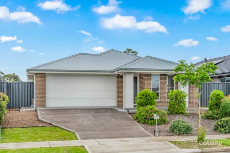 19 Springfield Dr, Lochinvar, NSW 2321