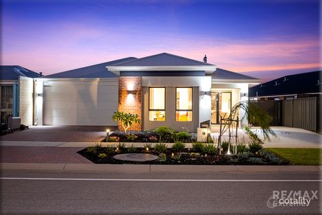 41 Darbyshire Pde, Alkimos, WA 6038