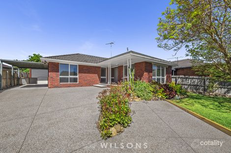 Property photo of 55 Moruya Drive Grovedale VIC 3216