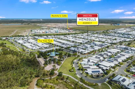 Property photo of 19 Kate Crescent Nirimba QLD 4551