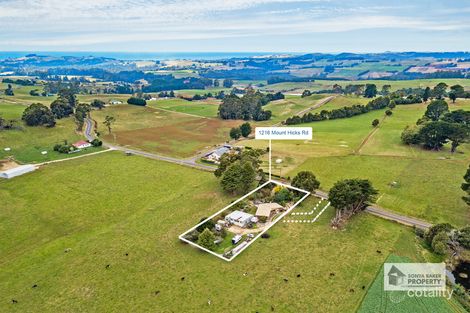 Property photo of 1216 Mount Hicks Road Mount Hicks TAS 7325