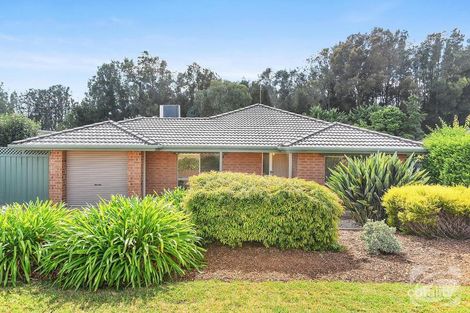 11 Clifton Ct, Mclaren Vale, SA 5171